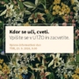 Vpis v novo študijsko leto UTŽO